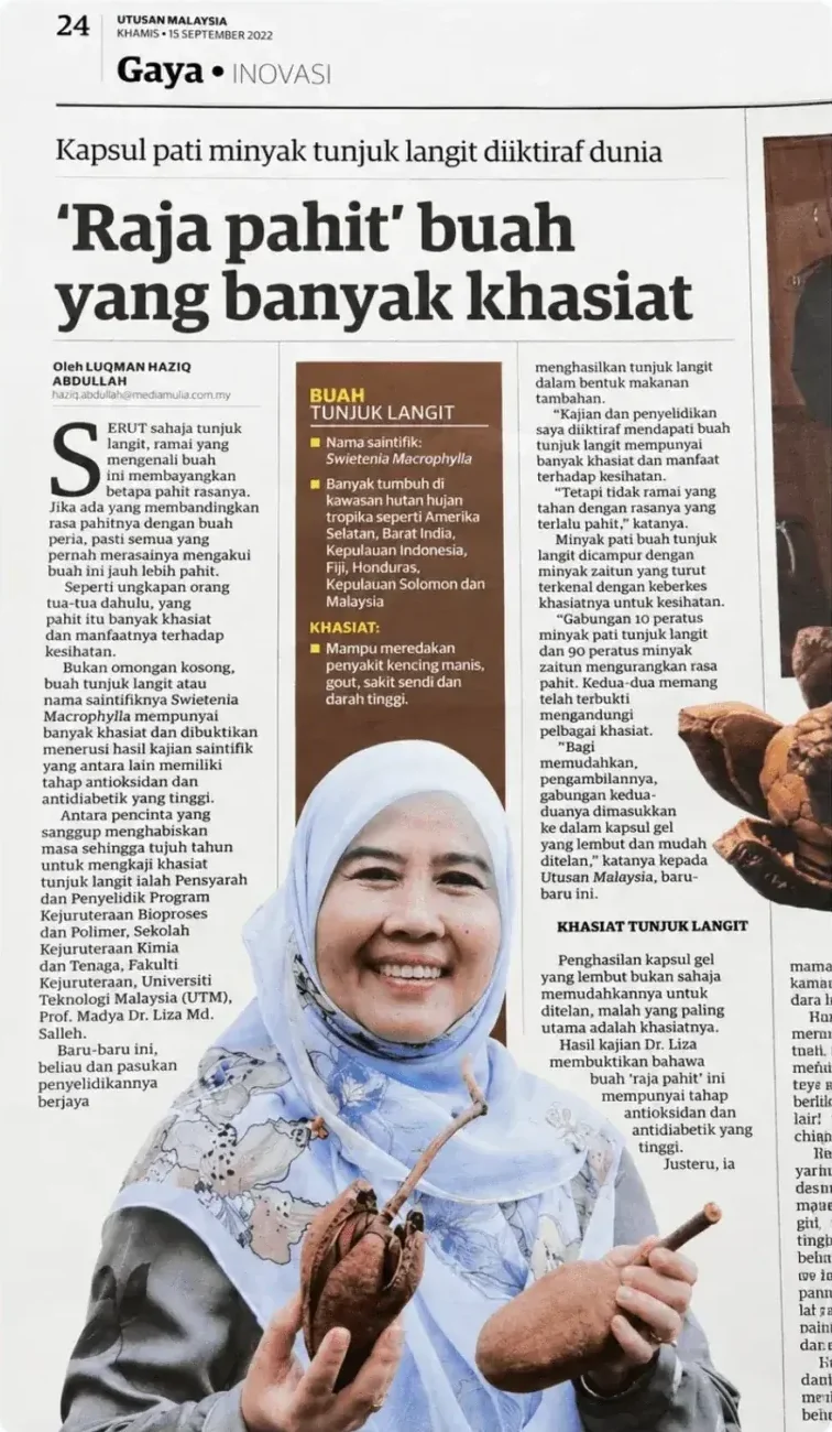 Utusan Malaysia
